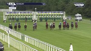 Video preview image for Newbury 18:20 - Energy Check EBF Restricted Novice Stakes (5)