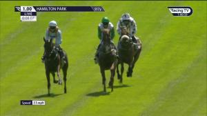 Video preview image for Hamilton Park 13:00 - British Stallions Studs EBF Novice Stakes (Qualifier) (4)