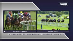 Video preview image for Killarney 16:35 - Boylesports Live Casino Handicap Chase 