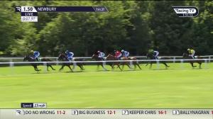 Video preview image for Newbury 13:50 - Bet365 Stakes (Steventon) (Listed) (1)