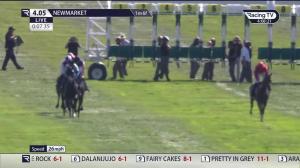 Video preview image for Newmarket 16:05 - Power Revolution Handicap (3)
