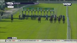 Video preview image for Newbury 16:45 - racehorseclub.com Fillies' Novice Stakes (5)