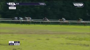 Video preview image for Ayr 14:45 - Book Now For Qts Ladies Night Handicap (4)