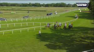 Video preview image for Stratford-on-Avon 16:50 - Lwk Ms Group 50th Anniversary Novices' Handicap Chase (5)