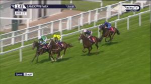 Video preview image for Sandown Park 14:45 - Young Stayers Handicap (3)