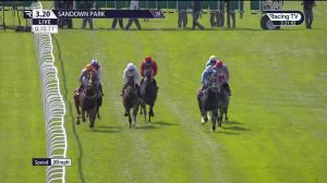 Video preview image for Sandown Park 15:20 - Ewell Handicap (5)