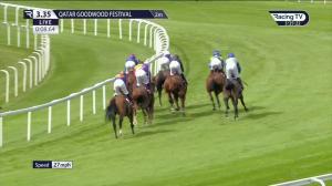 Video preview image for Goodwood 15:35 - Al Shaqab Goodwood Cup (Group 1) (1)