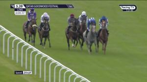 Video preview image for Goodwood 17:20 - Unibet Fillies' Handicap (3)