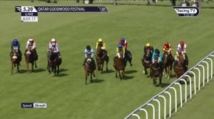 Video preview image for Goodwood 17:20 - World Pool Handicap (3)