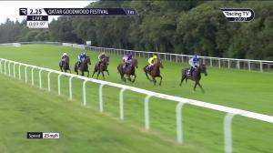 Video preview image for Goodwood 14:25 - Bonhams Thoroughbred Stakes (Group 3) (1)