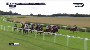 Video preview image for Goodwood 14:30 - Summer Handicap (2)