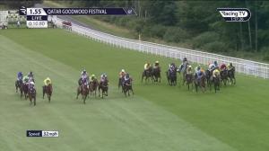 Video preview image for Goodwood 13:55 - Unibet Stewards' Sprint Handicap (2)