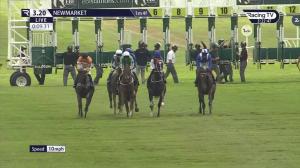 Video preview image for Newmarket 15:20 - Patti Crook Memorial Handicap (3)