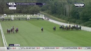 Video preview image for Goodwood 15:40 - Unibet Stewards' Cup (Heritage Handicap) (2)