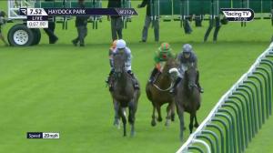 Video preview image for Haydock Park 19:52 - David Rayment 'Now I'm 64' Fillies' Handicap (5)