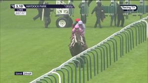 Video preview image for Haydock Park 17:10 - Follow @mansionbet Handicap (3)