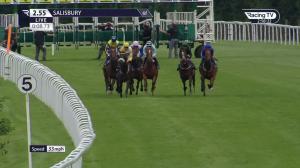 Video preview image for Salisbury 14:55 - Peter Britton 60 Years Racing At Salisbury Fillies' Handicap (4)