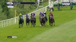 Video preview image for Salisbury 16:05 - D & N Construction Sovereign Stakes (Group 3) (1)