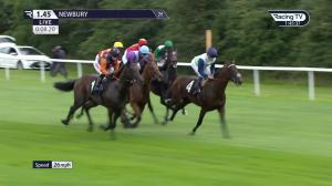Video preview image for Newbury 13:45 - Denford Stakes (Listed) (1)