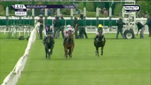 Video preview image for Musselburgh 14:15 - Pommery Rose British Stallion Studs EBF Maiden Stakes (5)