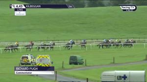 Video preview image for Kilbeggan 16:45 - Hurley Family Maiden Hurdle