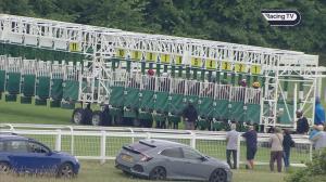 Video preview image for Epsom Downs 19:20 - Janet & Terry's 50th Anniversary Handicap (5)