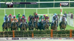 Video preview image for Killarney 13:45 - Adare Manor Opportunity Handicap Hurdle (Div 1)
