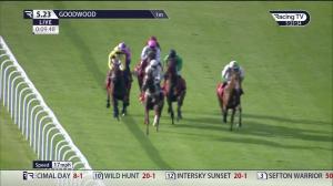 Video preview image for Goodwood 17:23 - tote.co.uk EBF Novice Stakes (4)