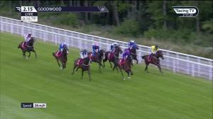 Video preview image for Goodwood 14:15 - tote.co.uk Handicap (2)