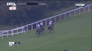 Video preview image for Goodwood 15:25 - tote.co.uk Selling Stakes (3)