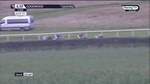 Video preview image for Goodwood 16:35 - Chichester City Handicap (2)