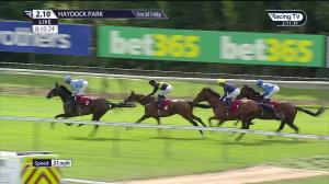 Video preview image for Haydock Park 14:10 - Racing TV Maiden Stakes (4)