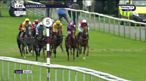 Video preview image for Haydock Park 13:45 - British EBF Fillies' Novice Stakes (4)