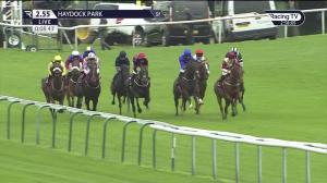 Video preview image for Haydock Park 14:55 - Bet At racingtv.com Handicap (4)