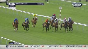 Video preview image for Haydock Park 14:55 - Betfair Exchange Old Borough Cup Handicap (2)