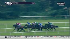 Video preview image for Wexford 14:45 - Wexford Mares Maiden Hurdle