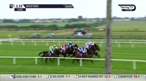 Video preview image for Wexford 15:55 - Garry Flood Landscapes Handicap Chase