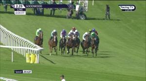 Video preview image for Goodwood 14:25 - South Downs Water EBF Fillies' Novice Stakes (4)
