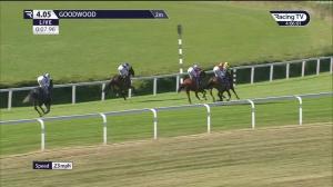 Video preview image for Goodwood 16:05 - Royal Sussex Regiment Handicap (2)