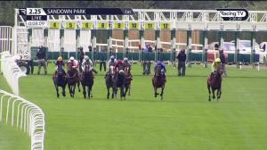 Video preview image for Sandown Park 14:25 - Time Test EBF Novice Stakes (4)