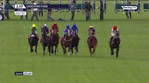 Video preview image for Sandown Park 14:55 - Blandford Bloodstock Novice Stakes (3)