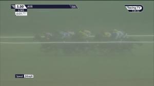 Video preview image for Ayr 17:00 - Remus Uomo Handicap (5) (Div 2)