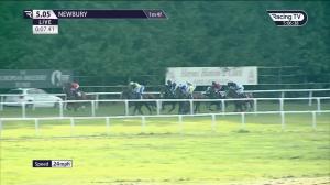 Video preview image for Newbury 17:05 - Dubai Duty Free Finest Surprise Handicap (3)