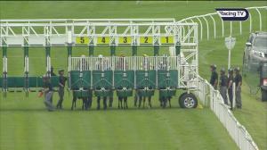 Video preview image for Catterick Bridge 15:00 - British Stallion Studs EBF Restricted Novice Stakes (5)