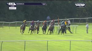 Video preview image for Warwick 14:25 - Mansionbet Bet £10 Get £20 Novices' Handicap Hurdle (4)