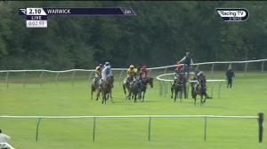 Video preview image for Warwick 14:10 - Poundland Foundation Supports Make-A-Wish UK Novices' Hurdle (4)