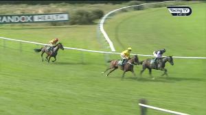 Video preview image for Warwick 14:45 - Poundland Foundation Proudly Supports Tommy's Novices' Handicap Chase (4)