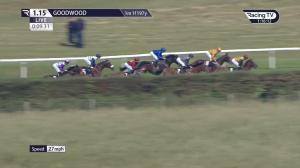 Video preview image for Goodwood 13:15 - Ryan Canter Club Future Stayers' EBF Maiden Stakes (2)