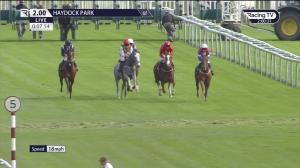 Video preview image for Haydock Park 14:00 - Betway EBF Maiden Stakes (Colts and Geldings) (4)