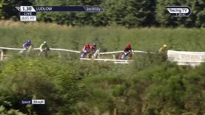 Video preview image for Ludlow 13:30 - Teresa's Boutique Mares' Handicap Hurdle (Qualifier) (3)
